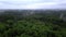 Beautiful view from the drone. Clip. A green forest with tall fir trees and large trees with a field and a blue misty