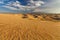 Beautiful view of the dunes of the Gobi Desert.