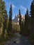 Beautiful view of Emerald River in Yoho National Park, British Columbia, Canada in the Rocky Mountains in the afternoon.