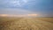 Beautiful view on empty field after gathering crop of wheat at dusk. Scenic nature landscape. Concept of harvesting