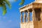 Beautiful view of Erechtheion with palm in Athens