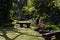 A beautiful view of exotic garden with old benches in Chateau de Labourdonnais, a colonial palace, Mauritius