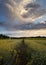 Beautiful view of a field of everlasting flowers with puffy clouds in Croatia