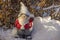 Beautiful view of figure of gnome standing in snow covered garden on sunny frosty winter day.