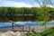 Beautiful view of forest on bank of Western Dvina river with reflection in water