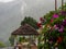 Beautiful view of forest with flowers and resting traditional hut