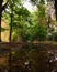 Beautiful view of the forest from a sloppy ground.