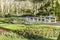 Beautiful view of the garden with a path, white bridge, red and yellow tulips and many trees