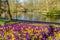 Beautiful view of the garden with yellow and purple flowers with many trees and a lake in the background