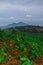 beautiful view of gardens, rice fields and Mount.