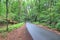 Beautiful view on green landscapes with streets and paths in northern germany on a sunny day