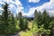 Beautiful view of greenery from cabin style home.