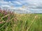 Beautiful view from a herbs at the blue sky