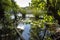 Beautiful view of an hidden lake in the heart of the forest.