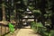 Beautiful view of Hidimba Devi Temple in between cedar trees