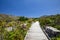 Beautiful view of a hiking trail in Silvermine Nature Reserve