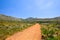 Beautiful view of a hiking trail in Silvermine Nature Reserve