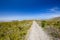 Beautiful view of a hiking trail in Silvermine Nature Reserve