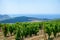 Beautiful view from the hill to the vineyards, mountains, sea and blue sky