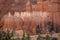 Beautiful view of hoodoo rock formations and pine trees in Bryce Canyon National Park on sunny day