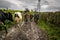 Beautiful view of hunters walking on the forest road on a cloudy day