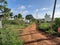 Beautiful view of Indian Village sand roads in a nature or forest background