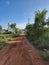 Beautiful view of Indian Village sand roads in a nature or forest background