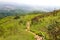 Beautiful view from Jaragua Peak, JaraguÃ¡ State Park, Brazil