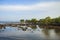 Beautiful view of Karimun Beach with Mangrove tree in Tanjung Balai, Karimun, Indonesia.