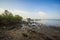 Beautiful view of Karimun Beach with Mangrove tree in Tanjung Balai, Karimun, Indonesia.