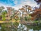 Beautiful view of a lagoon surrounded by majestic trees in City Park, New Orleans, Louisiana