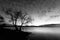 Beautiful view of a lake at dusk, with a tree in the foreground, perfectly still water and a mackerel sky