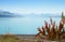 Beautiful view of Lake Tekapo in autumn