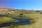 Beautiful view of Lamas feeding near a river in a field at daytime