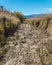 Beautiful view of a landscape with Cerro Mackay mountain and bushes near Patagonia, Chile