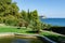 Beautiful view of landscape park with big pond, rare or relict evergreens on Black Sea coastline. Cypress, cedars