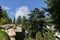 Beautiful view of landscape park with many rare and relict evergreens, cascade waterfall with large stones wall in park