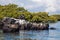 Beautiful view of large rocks near a shore with green trees and a calm ocean, Galapagos Islands