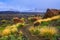 Beautiful view of lava fields with sparse vegetation in Teide Na