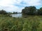 The beautiful view of the long forest lake with green grass on the bank.