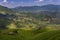 Beautiful view Longsheng Rice Terraces near the of the Dazhai village in the province of Guangxi, China