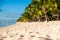 Beautiful view of the luxury beach in Mauritius. Ocean, sandy beach, palms and sky