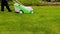 Beautiful view of male cutting grass on front yard lawn. Gardening concept background