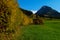 Beautiful view of the mountains, trees and plants at the Allgaeu landscape during autumn