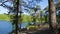 Beautiful view on nature landscape from rocky forest hill. Tall trees, green plants, yellow grass and lake down on the coast line.