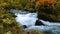 Beautiful view of Oirase mountain stream at Aomori Prefecture, Japan in autumn.