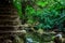 Beautiful view of an old stone stairway near a stream in a tropical forest