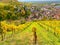 Beautiful view over the vineyards of Heppenheim