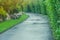 Beautiful view pathway or walkway in public park surrounded with green natural and sunlight background.