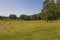 Beautiful view on peaceful of a cemetery on a summer day. North Carolina.